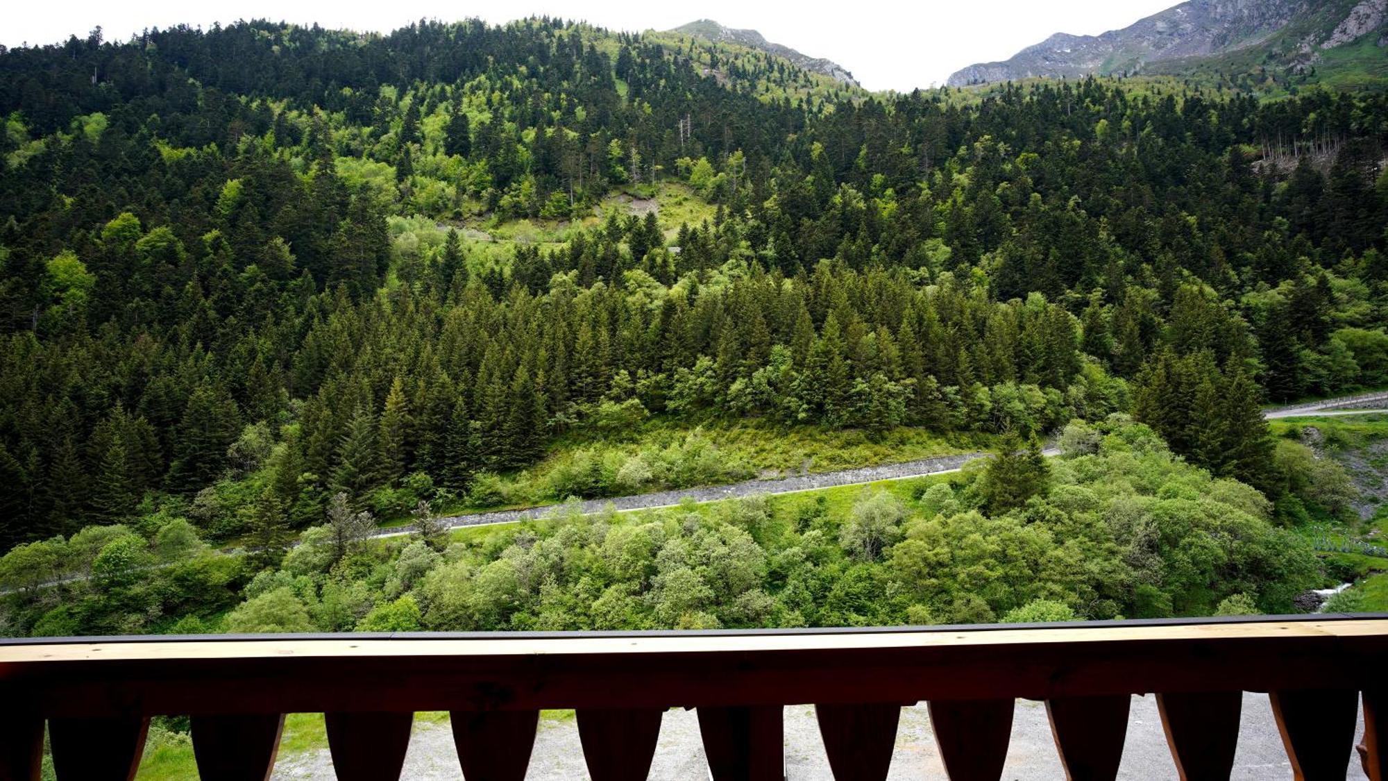La Sapiniere Hotel Saint-Lary-Soulan Eksteriør billede